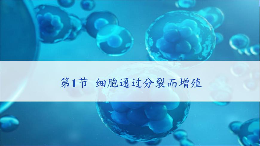 北師大版(2024)七年級(jí)生物上冊(cè)2.3.1細(xì)胞通過(guò)分裂而增殖課件第1頁(yè)