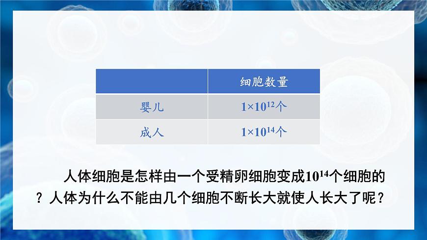 北師大版(2024)七年級(jí)生物上冊(cè)2.3.1細(xì)胞通過(guò)分裂而增殖課件第3頁(yè)