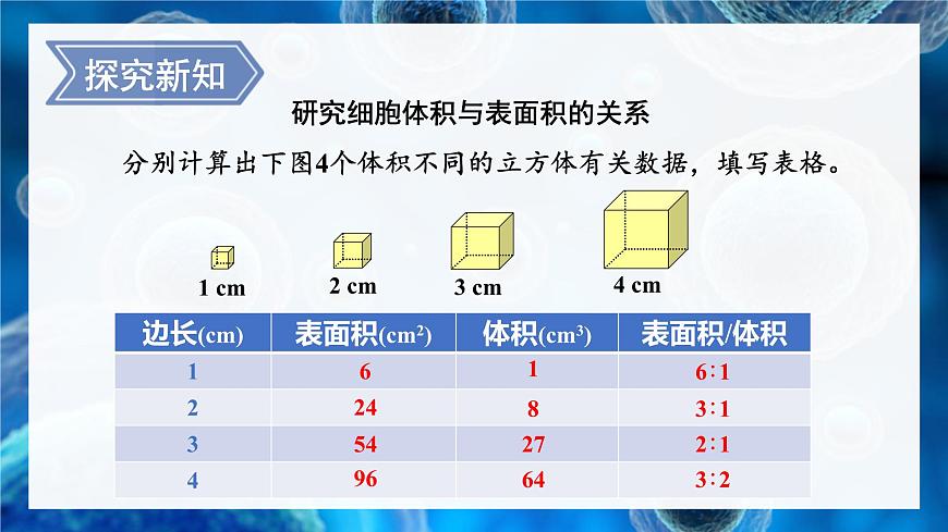 北師大版(2024)七年級(jí)生物上冊(cè)2.3.1細(xì)胞通過(guò)分裂而增殖課件第4頁(yè)
