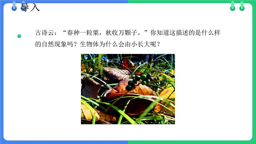 北師大版(2024)七年級(jí)生物上冊(cè)2.3.1細(xì)胞通過(guò)分裂而增殖課件第3頁(yè)