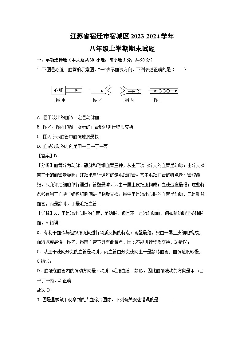 江苏省宿迁市宿城区2023-2024学年八年级(上)期末生物试卷(解析版)第1页