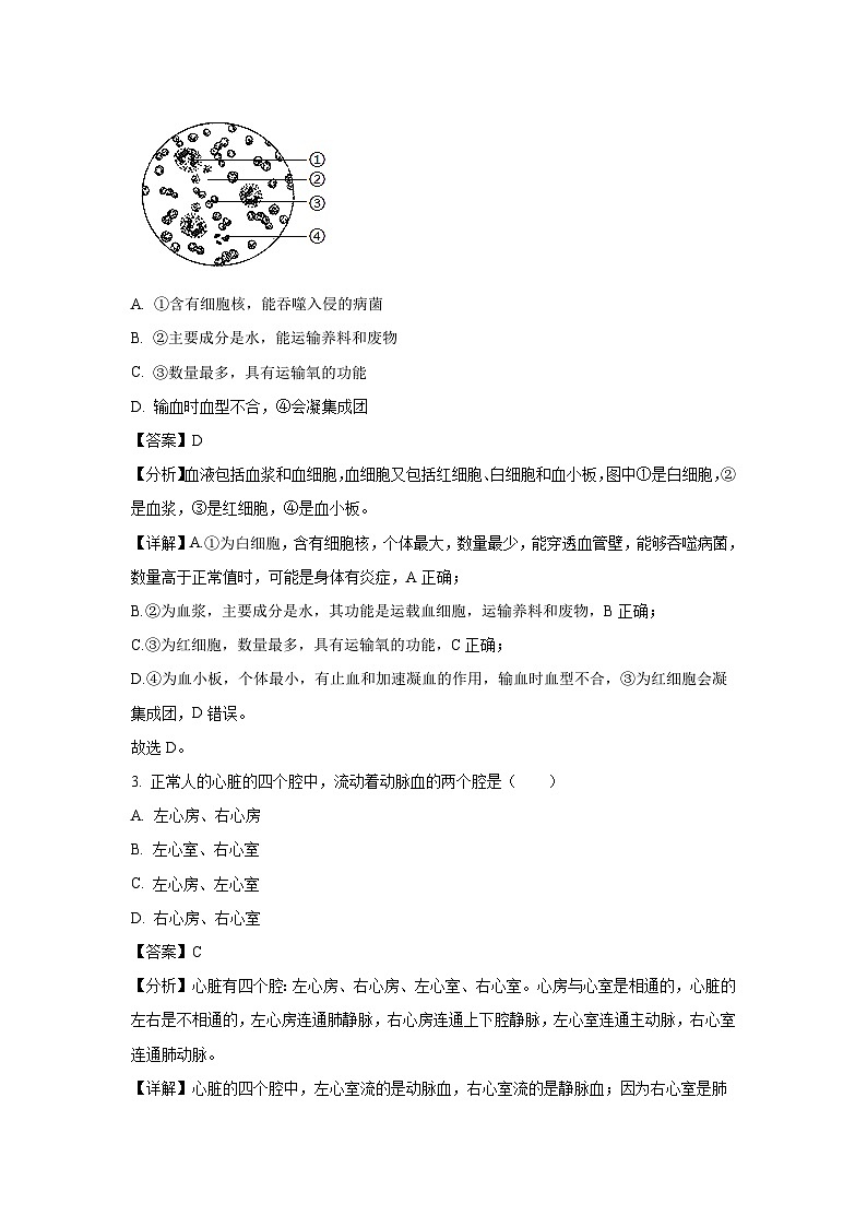 江苏省宿迁市宿城区2023-2024学年八年级(上)期末生物试卷(解析版)第2页