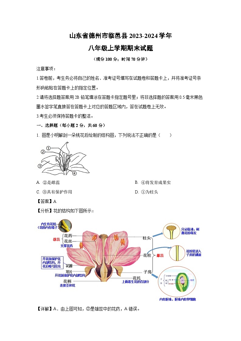 山东省德州市临邑县2023-2024学年八年级(上)期末生物试卷(解析版)第1页