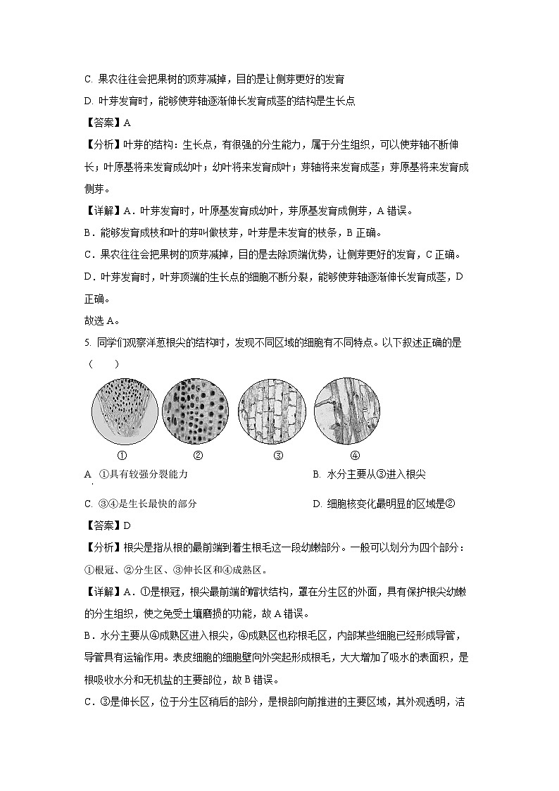 山东省德州市陵城区2023-2024学年八年级(上)期末生物试卷(解析版)第3页