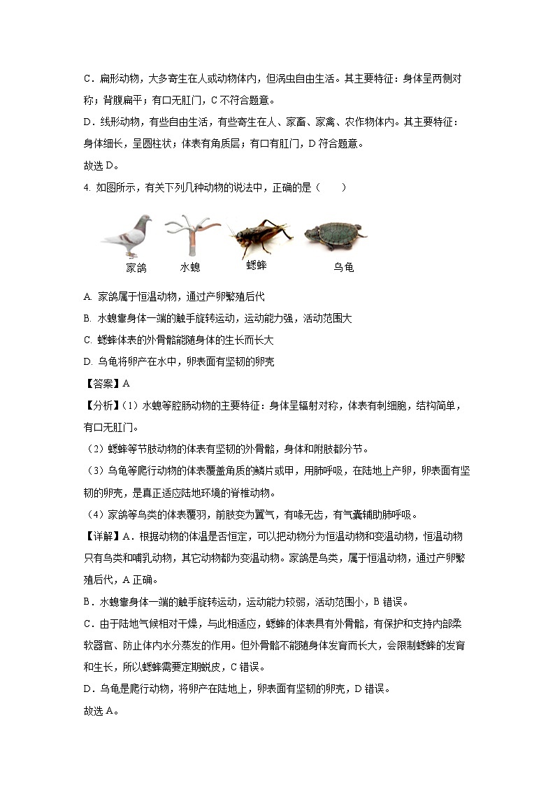 山东省威海市威海经济技术开发区2023-2024学年八年级(上)期末生物试卷(解析版)第3页