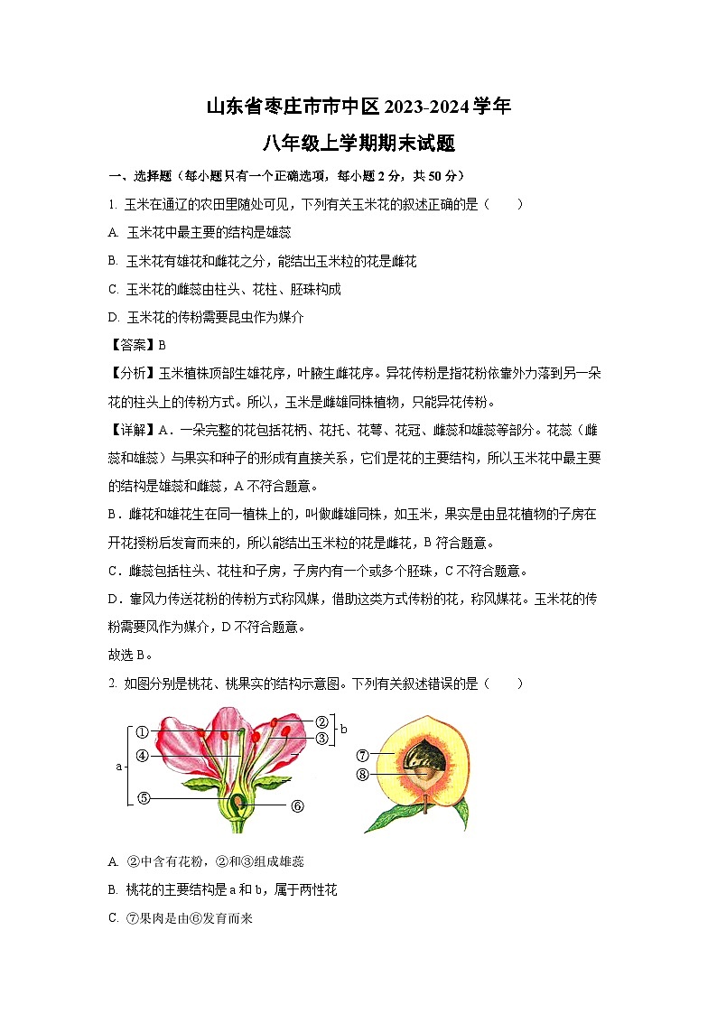 山东省枣庄市市中区2023-2024学年八年级(上)期末生物试卷(解析版)第1页