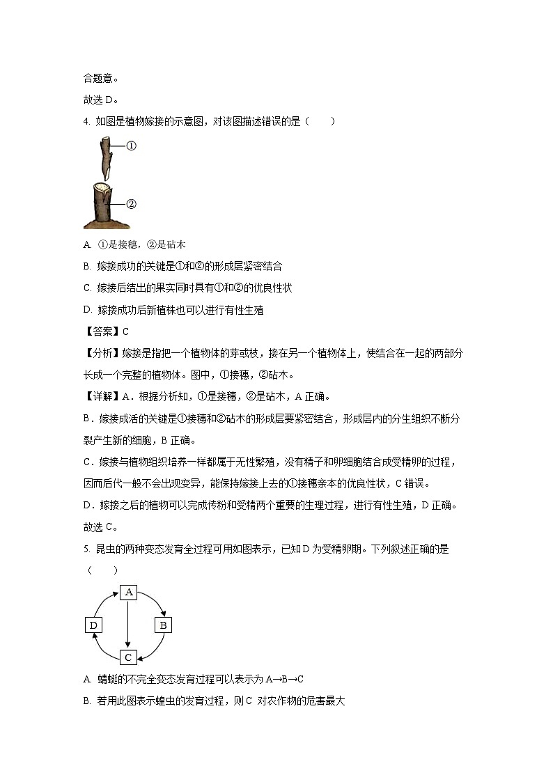 山东省淄博市桓台县2023-2024学年八年级(上)期末生物试卷(解析版)第3页