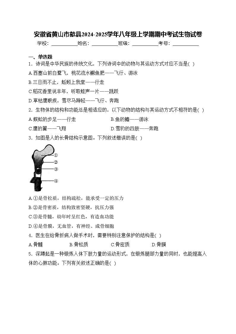 安徽省黄山市歙县2024-2025学年八年级上学期期中考试生物试卷(含答案)第1页