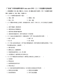广东省广州市华南师大附中2024-2025学年八年级上学期期中生物试卷