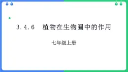 北师大版（2024）七年级生物上册3.4.6植物在生物圈中的作用精品课件