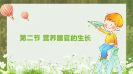 北师大版（2024）七年级生物上册3.5.2营养器官的生长精品课件