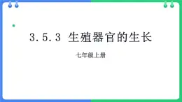 北师大版（2024）七年级生物上册3.5.3生殖器官的生长精品课件