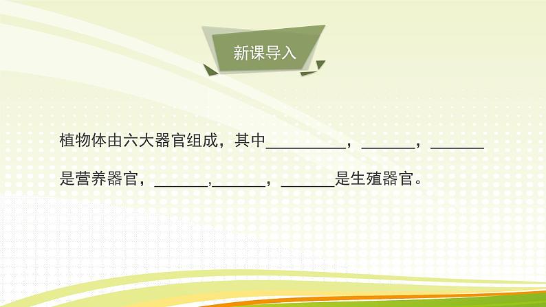 北师大版(2024)七年级生物上册3.5.3生殖器官的生长ppt课件第2页