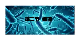 初中  生物  人教版（2024）  七年级上册第二节 细菌 课件