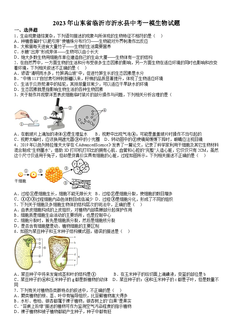 精品解析：2023年山东省临沂市沂水县中考一模生物试题-A4答案卷尾