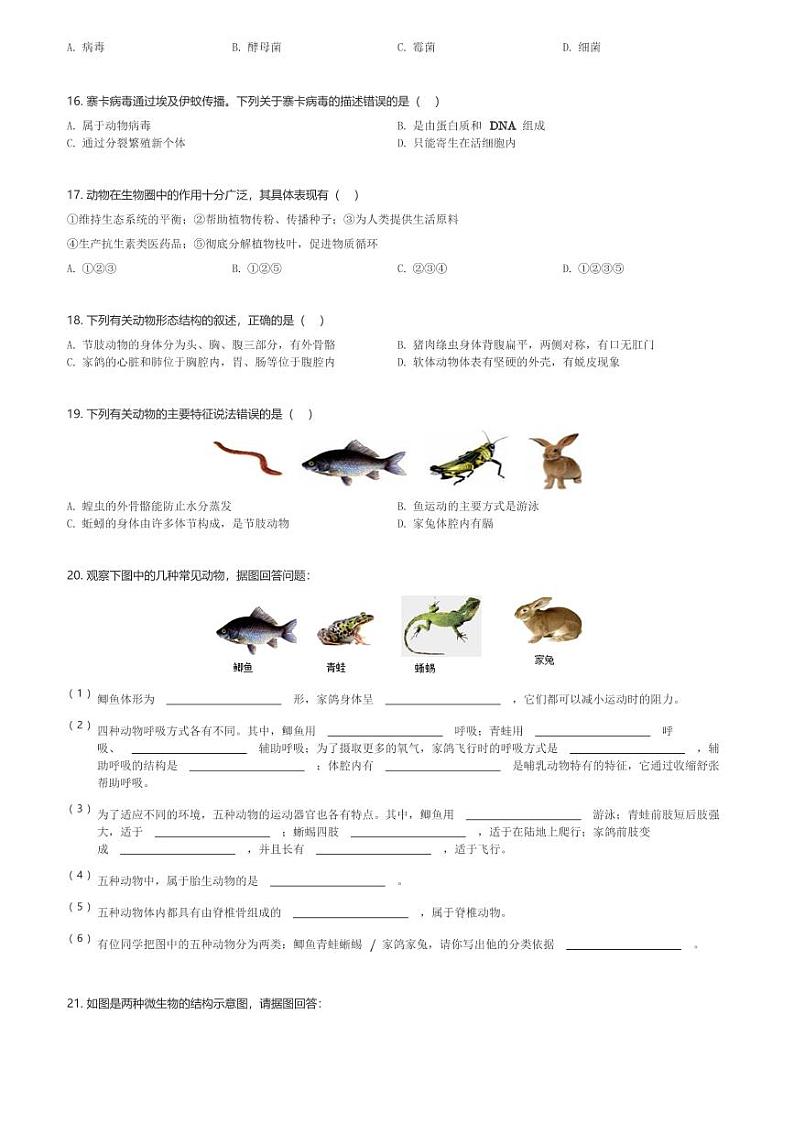 山东省枣庄市滕州市张汪中学2023-2024学年七年级(上)期末生物试卷(含解析)第3页