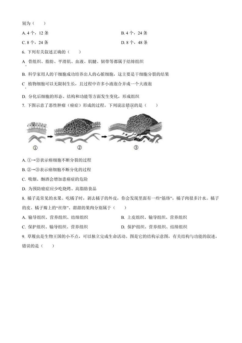 2024~2025学年江苏省徐州市东苑中学七年级(上)12月月考生物试卷(含答案)第2页