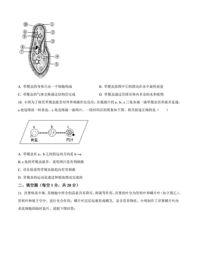 2024~2025学年江苏省徐州市东苑中学七年级(上)12月月考生物试卷(含答案)第3页