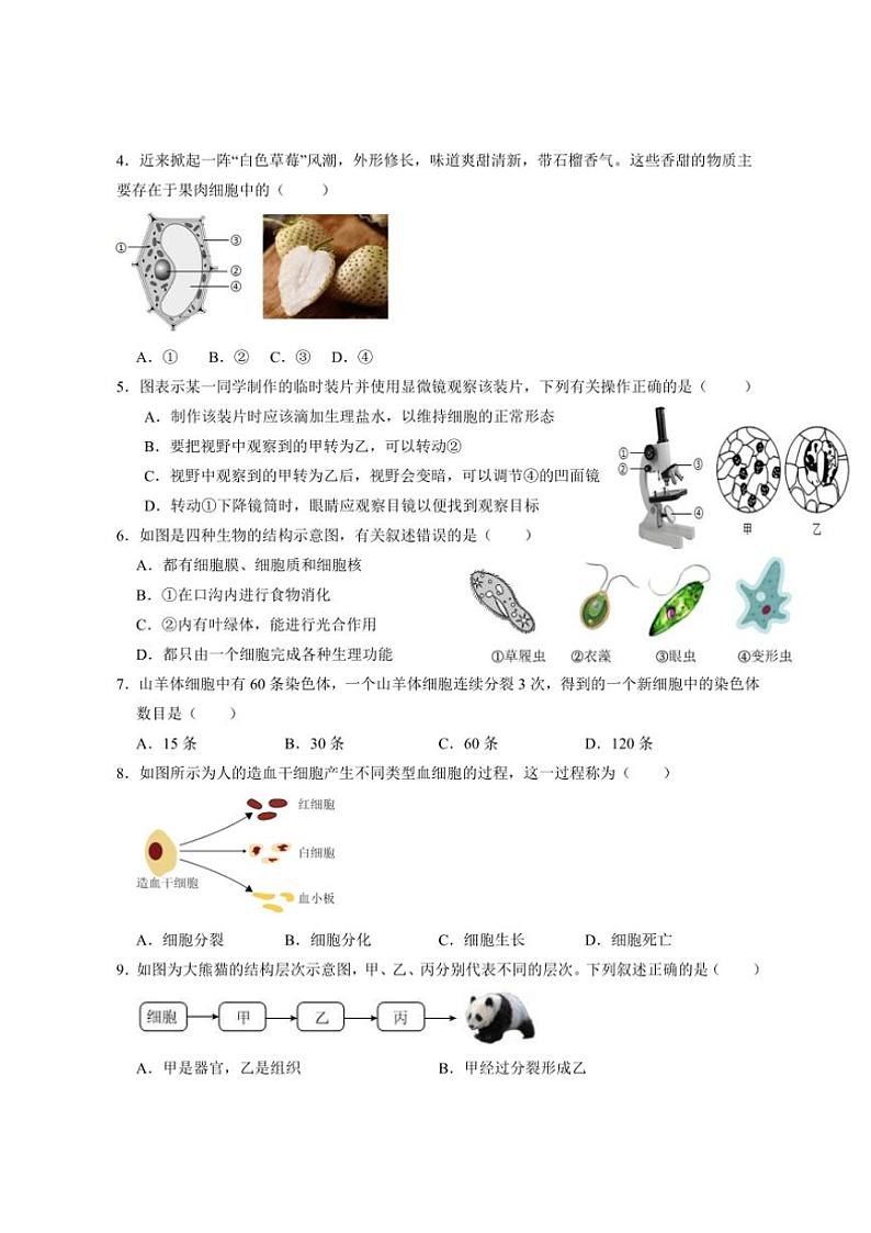 2024~2025学年江苏省盐城市盐都区第一共同体七年级(上)12月月考生物试卷(含答案)第2页
