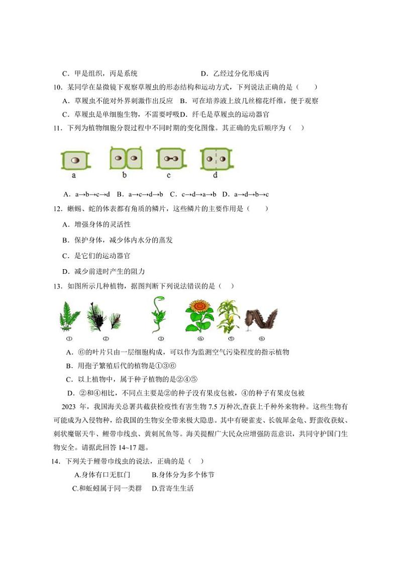 2024~2025学年江苏省盐城市盐都区第一共同体七年级(上)12月月考生物试卷(含答案)第3页