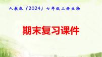 人教版（2024）七年级上册生物期末复习课件