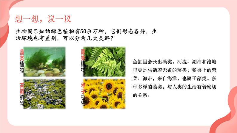 初中 生物 人教版(2024) 七年级上册第一节 藻类、 苔藓和蕨类 课件第3页