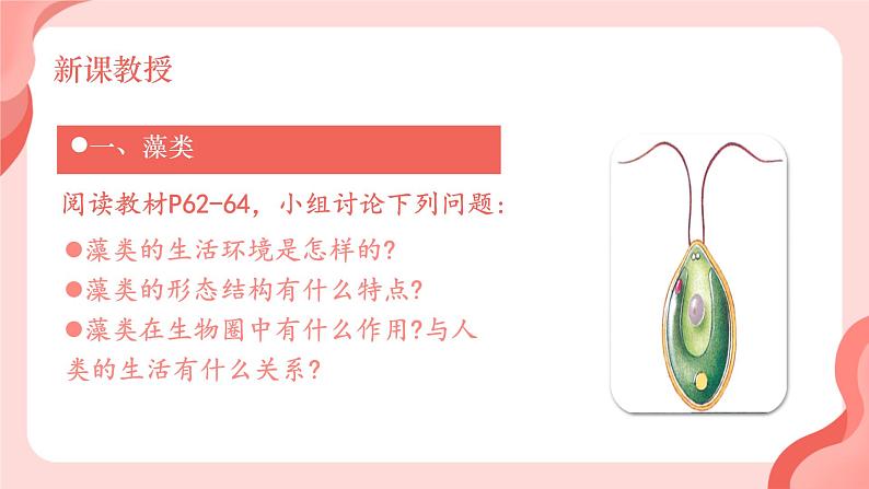 初中 生物 人教版(2024) 七年级上册第一节 藻类、 苔藓和蕨类 课件第4页