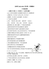 广东深圳龙华区2022-2023学年八年级上学期生物期末卷 及答案