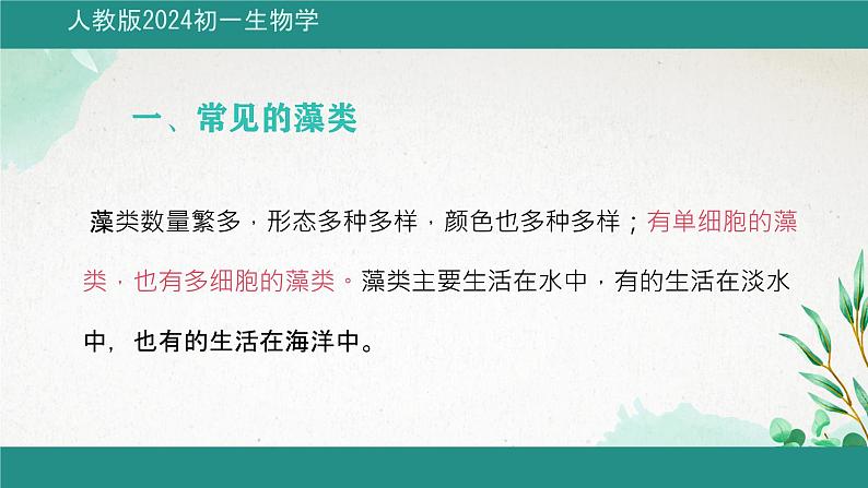初中 生物 人教版(2024) 七年级上册第一节 藻类、 苔藓和蕨类 课件第3页