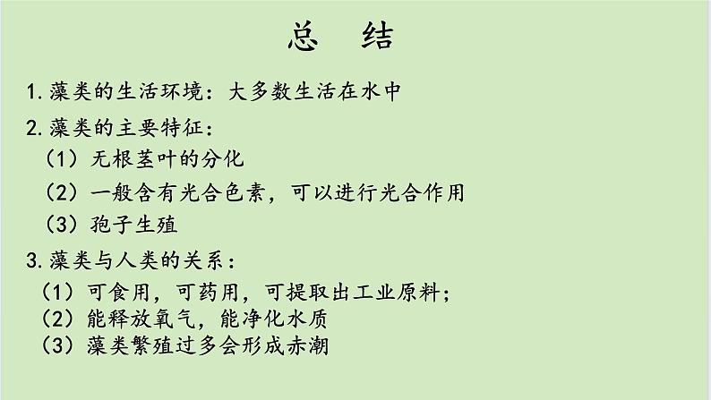 初中 生物 人教版(2024) 七年级上册第一节 藻类、 苔藓和蕨类 课件第7页