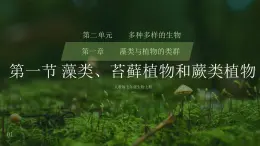 初中  生物  人教版（2024）  七年级上册第一节 藻类、 苔藓和蕨类 课件