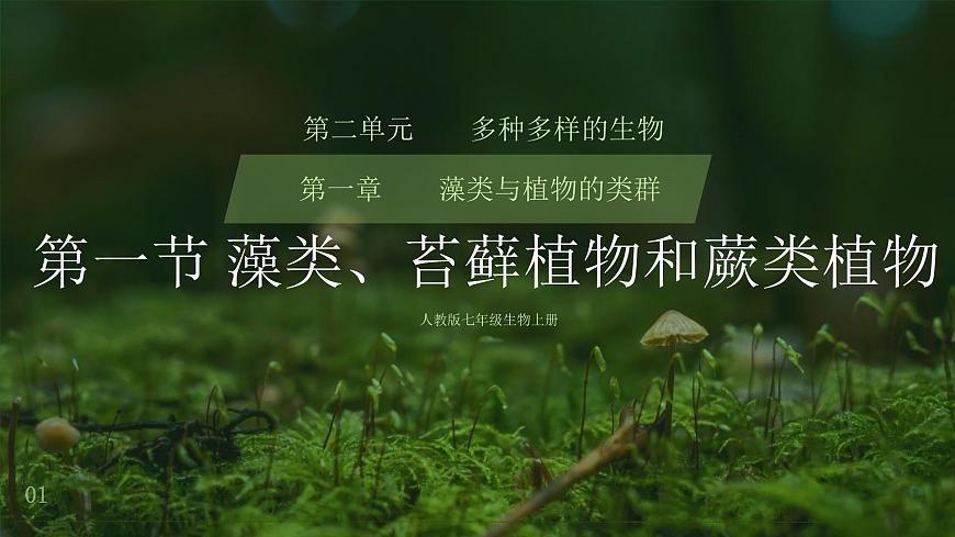 初中  生物  人教版（2024）  七年級(jí)上冊(cè)第一節(jié) 藻類、 苔蘚和蕨類 課件第1頁