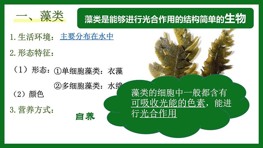 初中  生物  人教版（2024）  七年級(jí)上冊(cè)第一節(jié) 藻類、 苔蘚和蕨類 課件第2頁