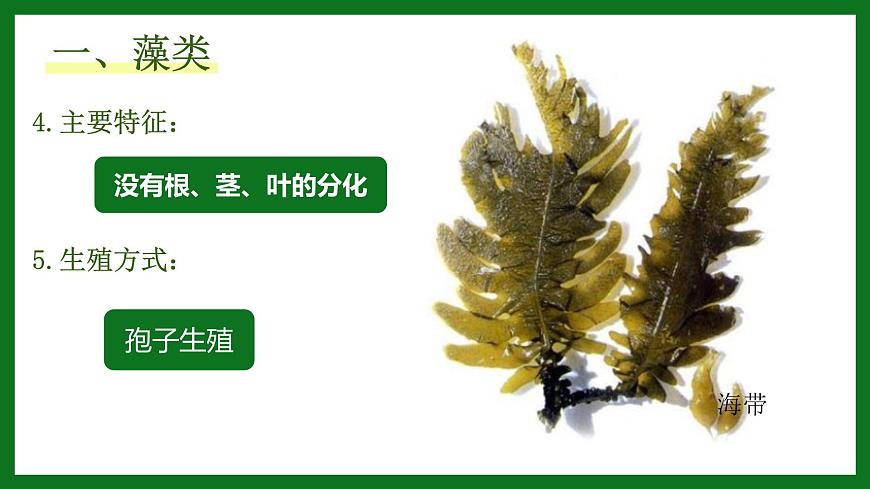 初中  生物  人教版（2024）  七年級(jí)上冊(cè)第一節(jié) 藻類、 苔蘚和蕨類 課件第5頁