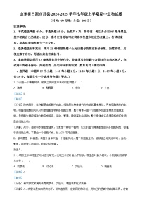 山东省日照市莒县2024-2025学年七年级上学期期中生物试题(解析版)-A4