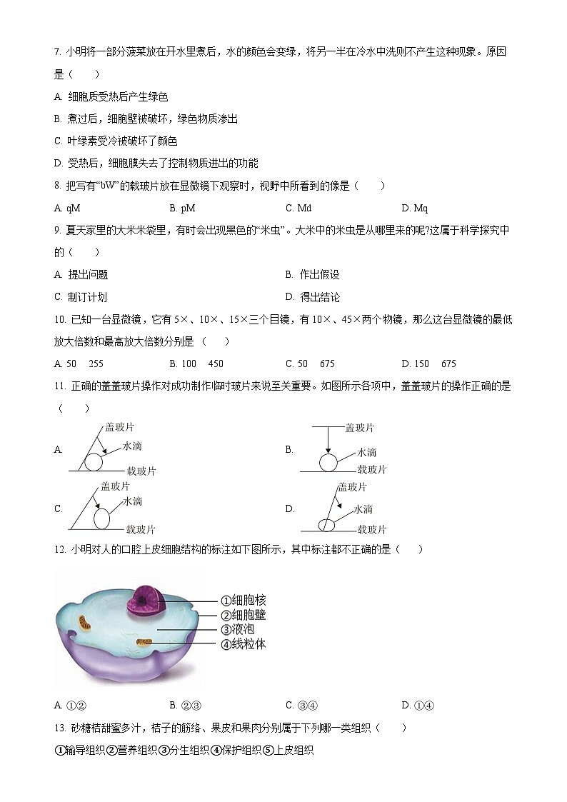 湖南省永州市道县2024-2025学年七年级上学期期中生物学试题(原卷版)-A4第2页