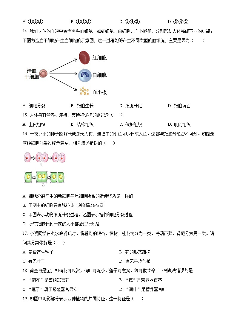 湖南省永州市道县2024-2025学年七年级上学期期中生物学试题(原卷版)-A4第3页