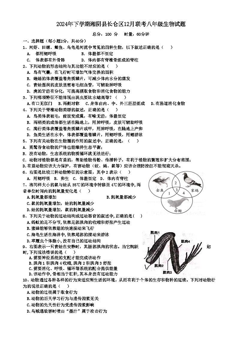 2024年下学期湘阴县长仑区12月联考八年级生物试题-A4