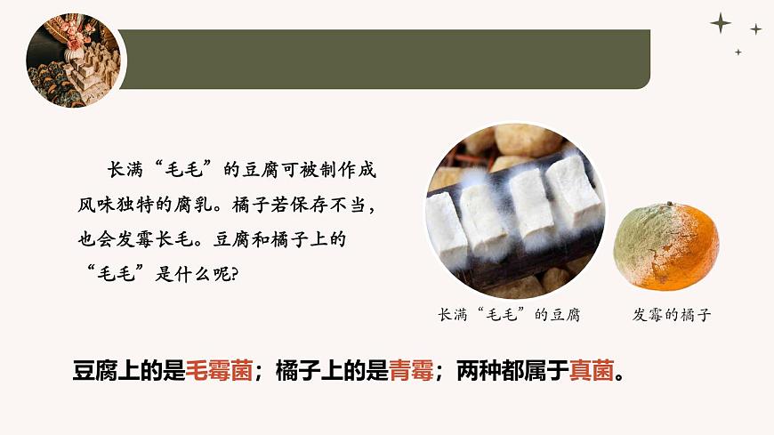 人教版生物七年級上冊2.3.3《真菌》教學(xué)課件第4頁