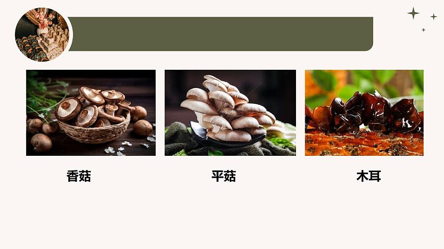 人教版生物七年級上冊2.3.3《真菌》教學(xué)課件第5頁