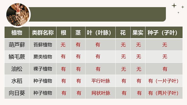 人教版生物七年级上册2.4.1《尝试对生物进行分类》(教学课件)第5页