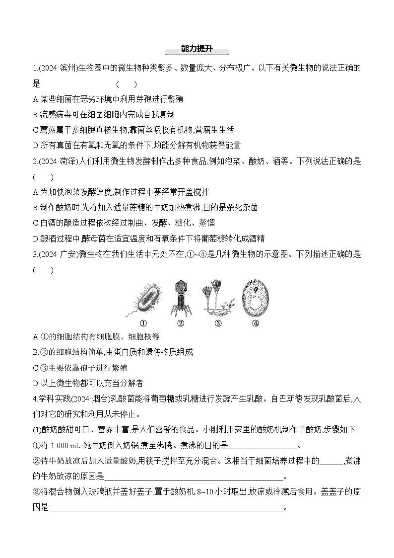 第17讲 细菌、真菌和病毒-【专题练习】2025年中考生物一轮复习专题练习(含答案)第3页