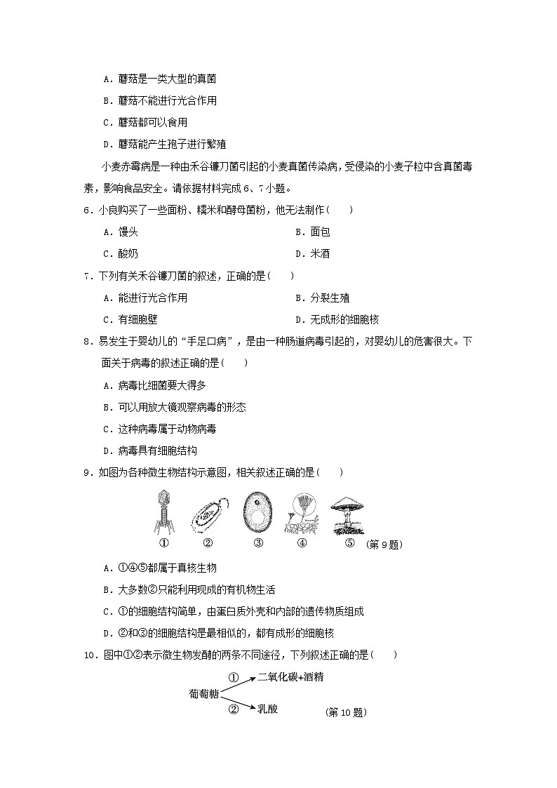 福建省2024七年级生物上册第二单元多种多样的生物第三四章学情评估试卷(附答案人教版)第2页