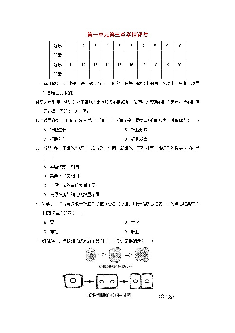福建省2024七年级生物上册第一单元生物和细胞第三章从细胞到生物体学情评估试卷(附答案人教版)第1页