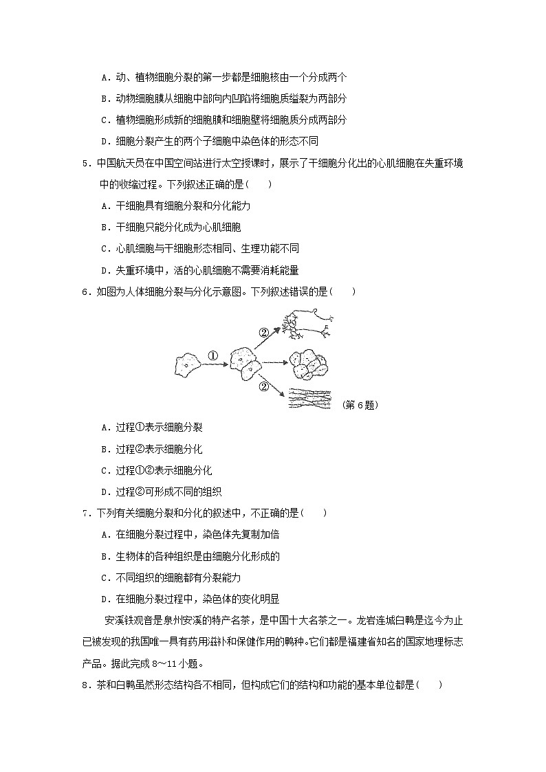 福建省2024七年级生物上册第一单元生物和细胞第三章从细胞到生物体学情评估试卷(附答案人教版)第2页