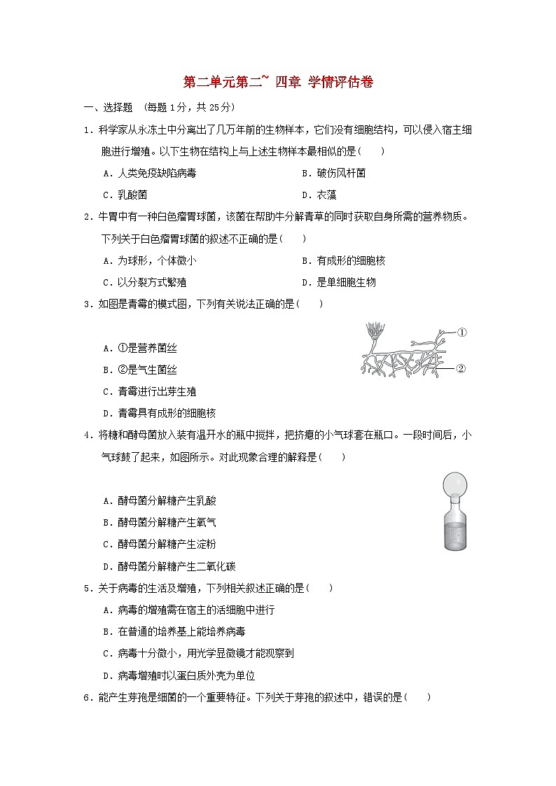2024七年级生物上册第二单元生物的多样性第二~四章学情评估试卷(附答案冀少版)第1页