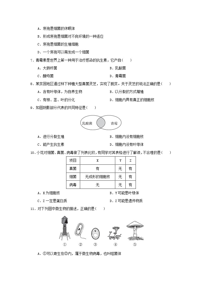 2024七年级生物上册第二单元生物的多样性第二~四章学情评估试卷(附答案冀少版)第2页