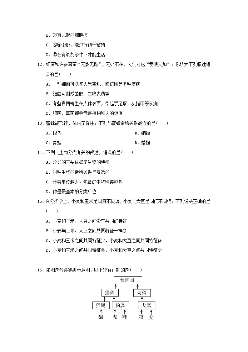 2024七年级生物上册第二单元生物的多样性第二~四章学情评估试卷(附答案冀少版)第3页