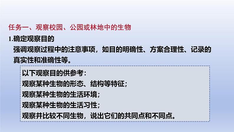 2024七年级生物上册第一单元生物和细胞第一章认识生物第一节观察周边环境中的生物课件(人教版)第7页