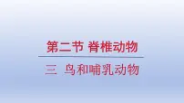 人教版(2024)七年级上册(2024)三 鸟和哺乳动物图片ppt课件